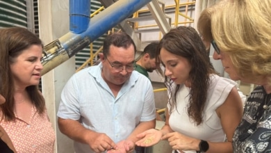 Castilla-La Mancha se consolida como líder agrícola, ya produce el 20% de la semilla certificada de España