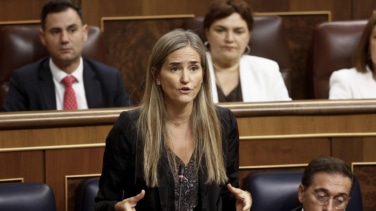 Un 'mercado de capacidad' de emergencia: así será el refuerzo 'anti apagones' que pagarán los consumidores en su factura