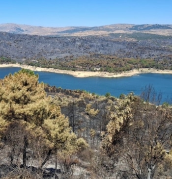 Una flota de extinción en tierra mientras España ardía