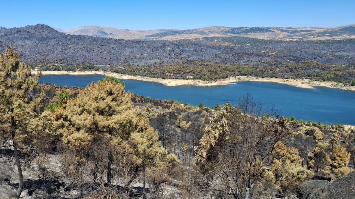 Una flota de extinción en tierra mientras España ardía