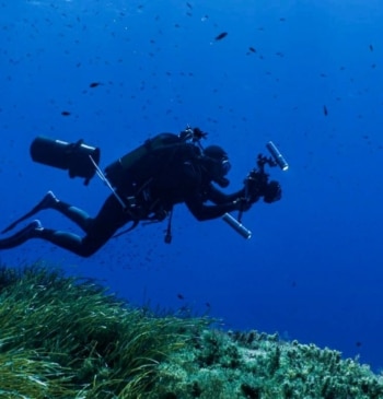 La Bluewave Alliance promueve una expedición científica para estudiar el Banco Talbot, [...]