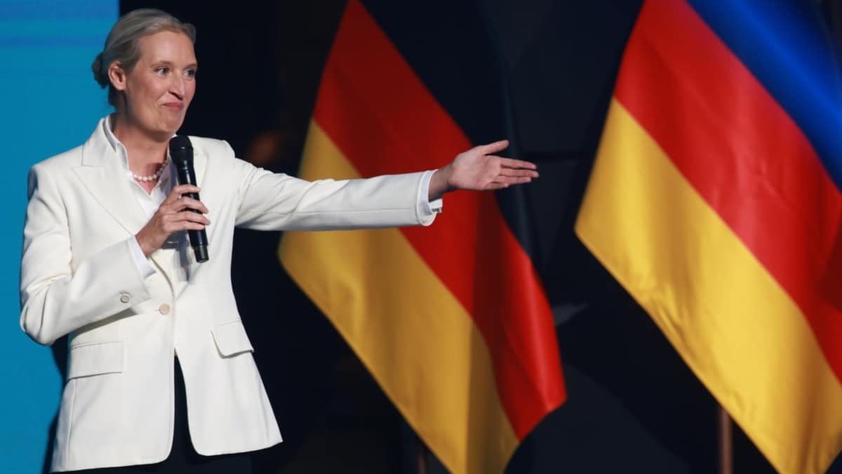 Alemania 2033, la extrema derecha llega al poder