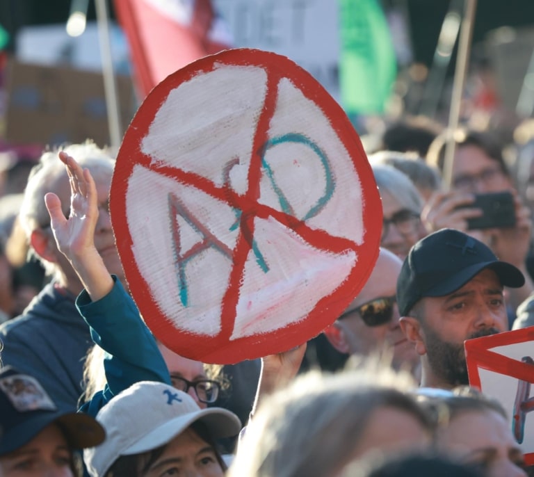 La ultraderecha ve la victoria de AfD en Sajonia-Anhalt como la chispa que va a incendiar Europa en 2027