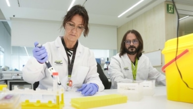 Por qué la medicina ha dejado de considerar el Alzheimer una enfermedad intratable
