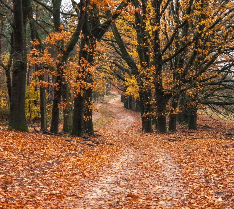 Ni reformas ni un dineral en calefacción: cómo evitar que entre frío por las ventanas este otoño