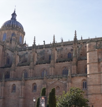 La Junta de Castilla y León convoca ayudas de hasta 1.600 euros [...]