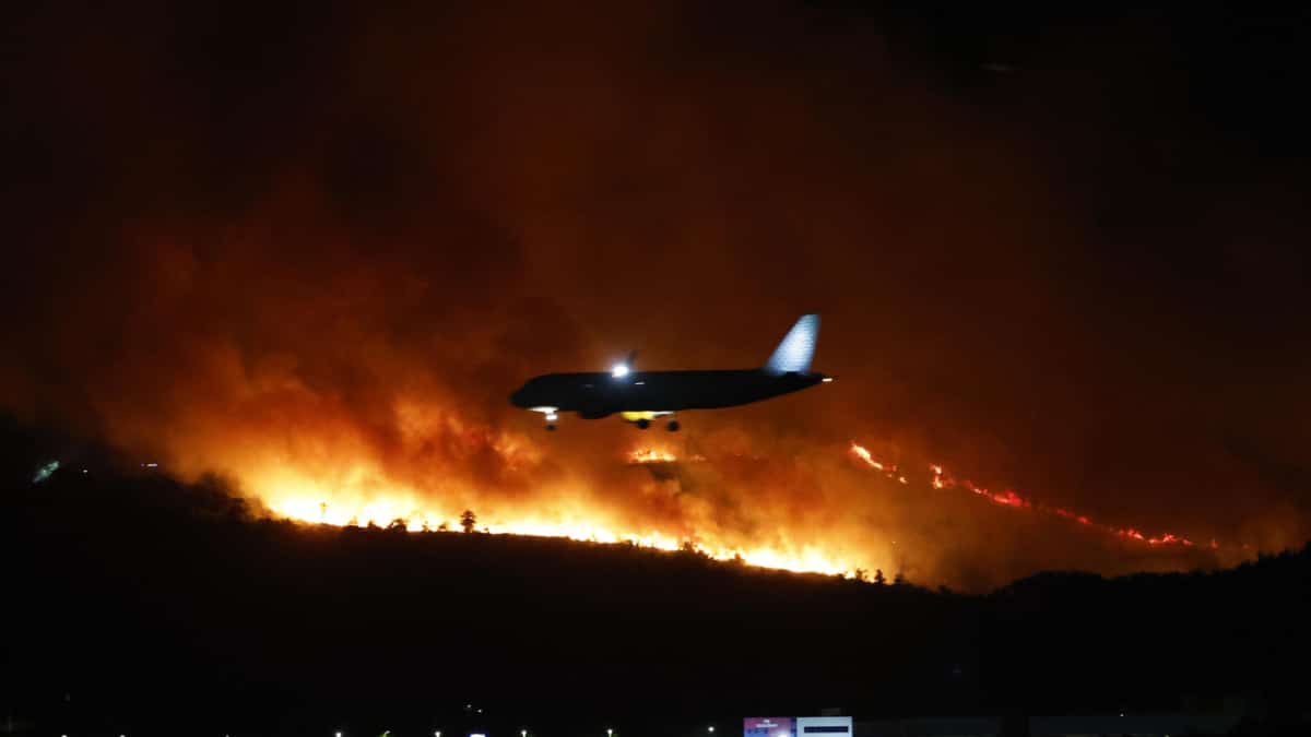 Soluciones a los incendios forestales: escuchar a la ciencia y a la gente del lugar