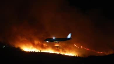 Soluciones a los incendios forestales: escuchar a la ciencia y a la gente del lugar