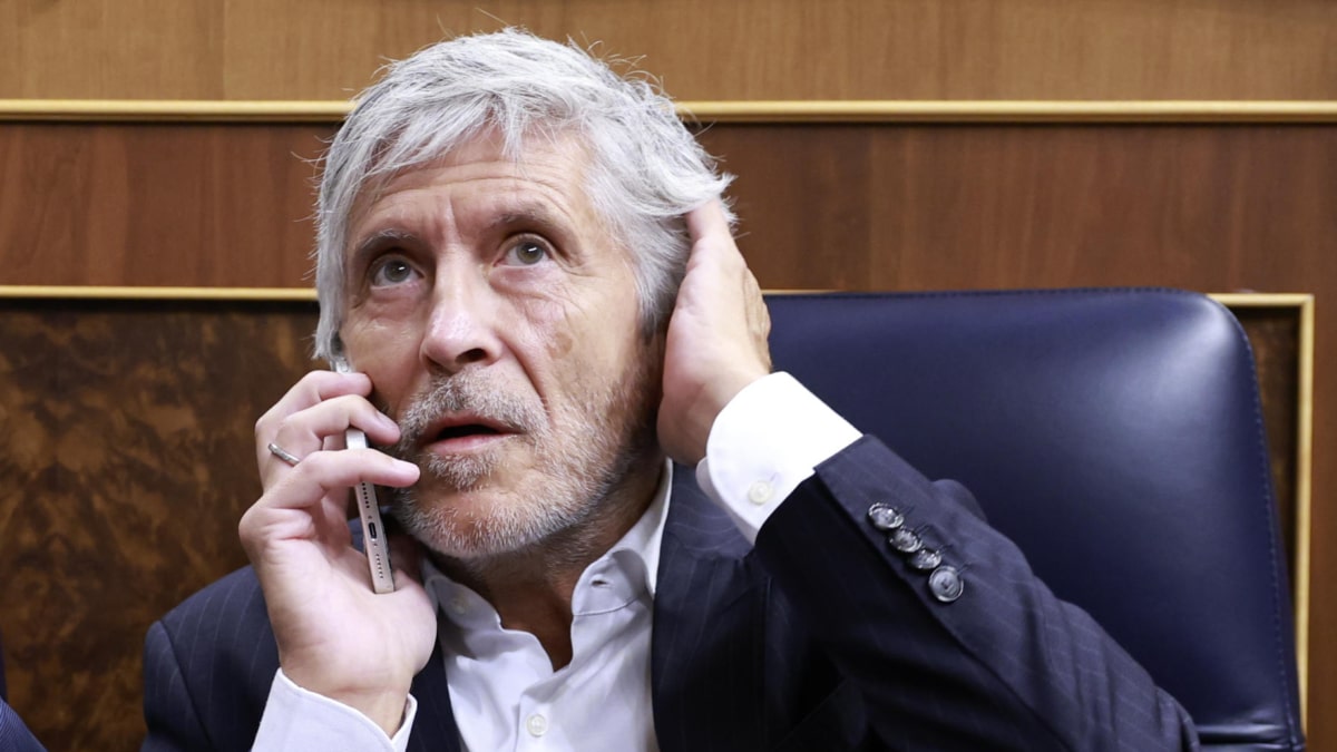Fernando Grande-Marlaska habla por teléfono desde su escaño en el Congreso.