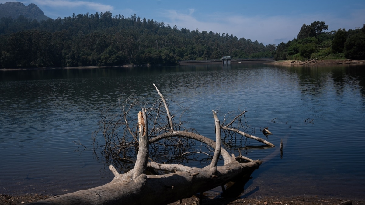 Embalse de Zamans, a 8 de julio de 2026, en Vigo, Pontevedra, Galicia