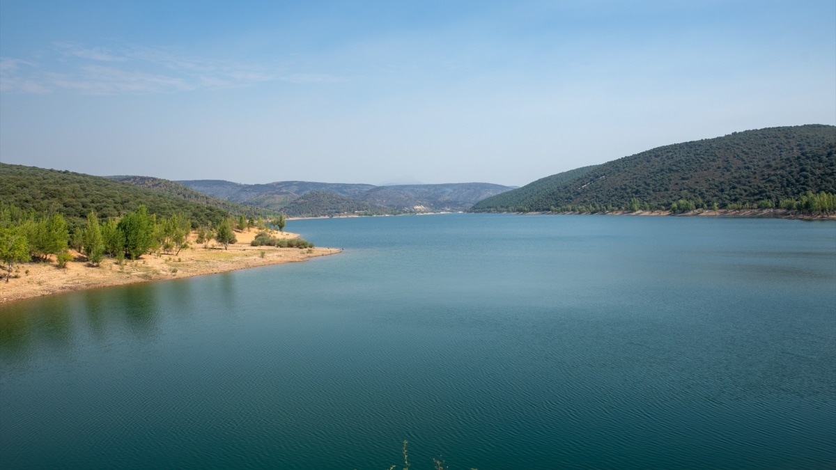 Embalse de Beleña, a 23 de julio de 2026, en La Mierla, Guadalajara, Castilla-La Mancha
