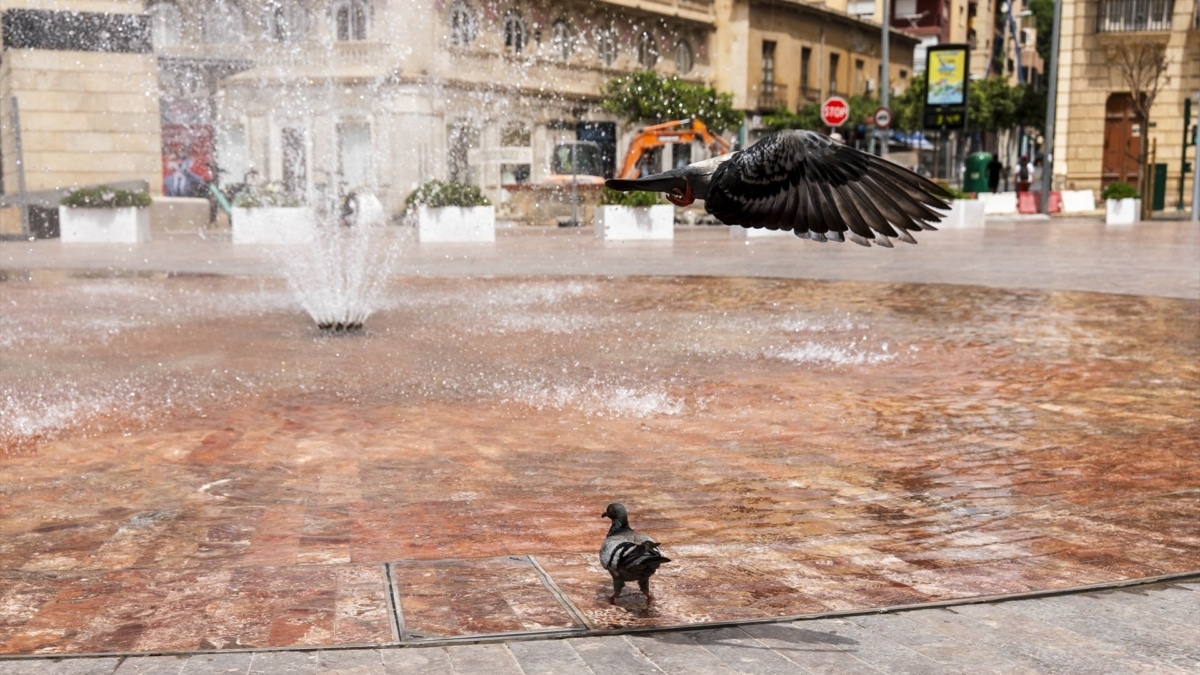 Jornada de intenso calor con máximas de 44ºC en Almería. A 24 de julio de 2026 en Almería