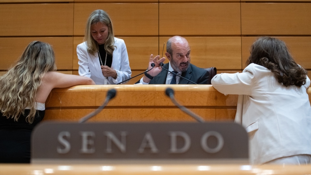 El presidente del Senado, Pedro Rollán, durante una sesión plenaria en el Senado