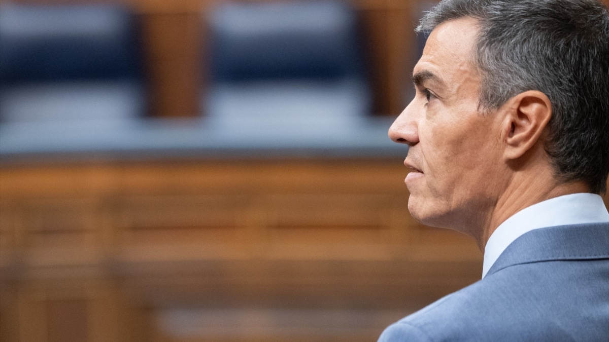 El presidente del Gobierno, Pedro Sánchez, en el Congreso.