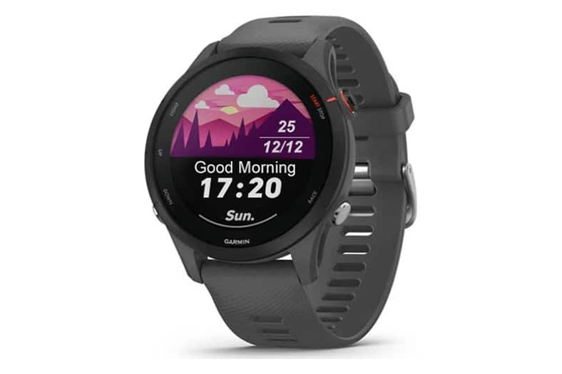 Reloj deportivo Garmin Forerunner 255 de 46 mm en gris