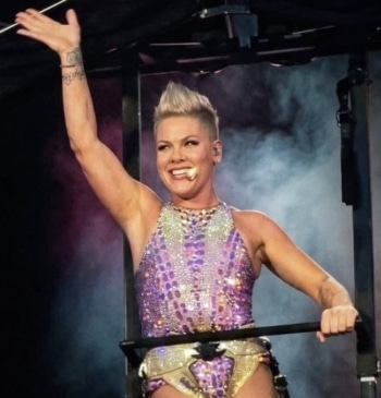 Pink se defiende ante las críticas por la polémica con Macklemore y Palestina