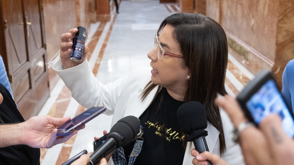 De la impresora al gas pimienta, el ‘mercadeo de objetos’ en el Parlamento