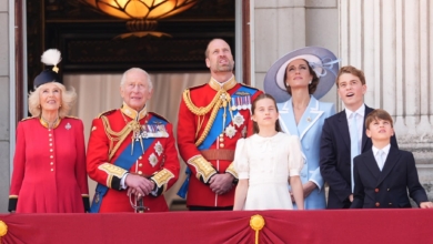 César Cervera, historiador: "La supervivencia de las monarquías depende de la capacidad de los reyes para no sabotearse a sí mismos"