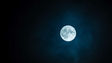 Luna llena de septiembre 2026: cuándo y cómo verla