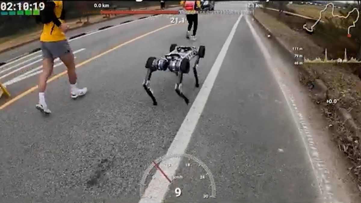 Un robot perro completa una maratón con una sola batería