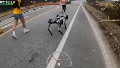 Un robot perro completa una maratón con una sola batería 