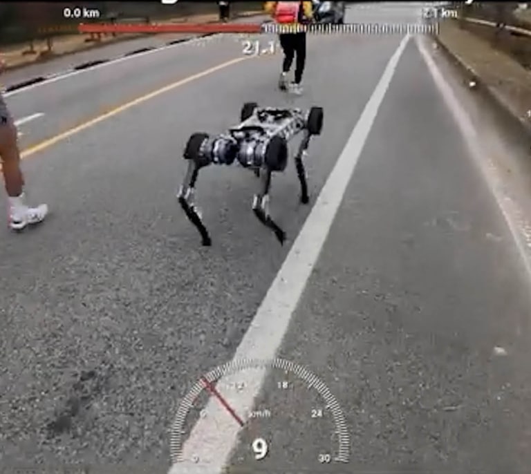 Un robot perro completa una maratón con una sola batería 