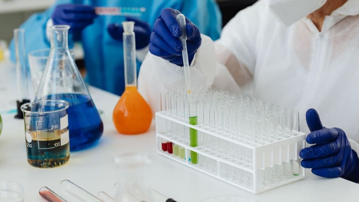 La Generalitat busca la voz de la ciencia valenciana para definir el nuevo Plan de Innovación 2027-2030