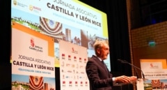 La Junta reúne en Burgos a organizadores de eventos médicos para impulsar el turismo de reuniones en Castilla y León