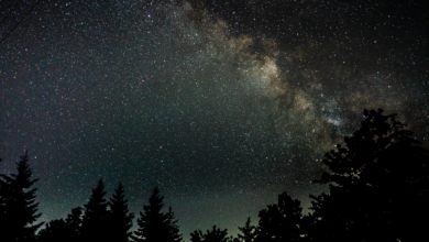 Llega la primera lluvia de estrellas del otoño: cuándo y cómo ver las Dracónidas