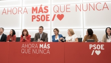 Pedraz deja en suspenso la imputación del PSOE hasta avanzar en la investigación de las 'cloacas'
