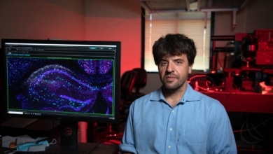 Amor, ciencia y champán: la intrahistoria de amor tras el Nobel de medicina de Karl Deisseroth