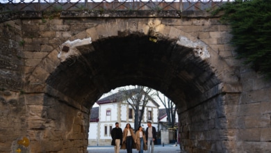 En equilibrio entre la innovación y el respeto por la tradición, las bodegas centenarias de Haro se abren al mundo