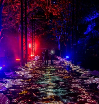 Cuenta atrás para conseguir entradas de Naturaleza Encendida en Madrid: fechas, temática [...]