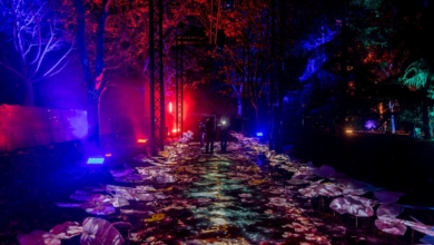 Cuenta atrás para conseguir entradas de Naturaleza Encendida en Madrid: fechas, temática y nueva ubicación