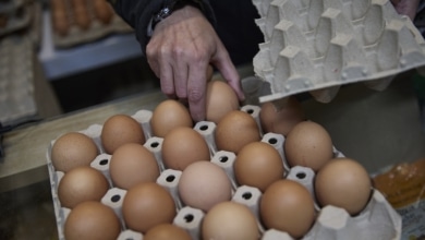 Cómo elegir los mejores huevos en el supermercado, según la OCU