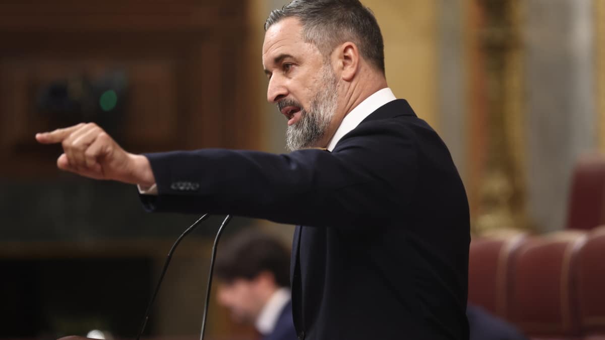 El presidente de Vox, Santiago Abascal, en la tribuna del Congreso.