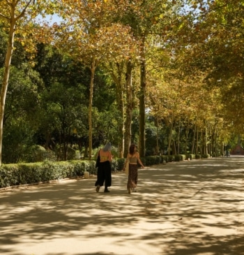 ¿Lloverá en el Puente del Pilar? Las zonas de España donde el [...]