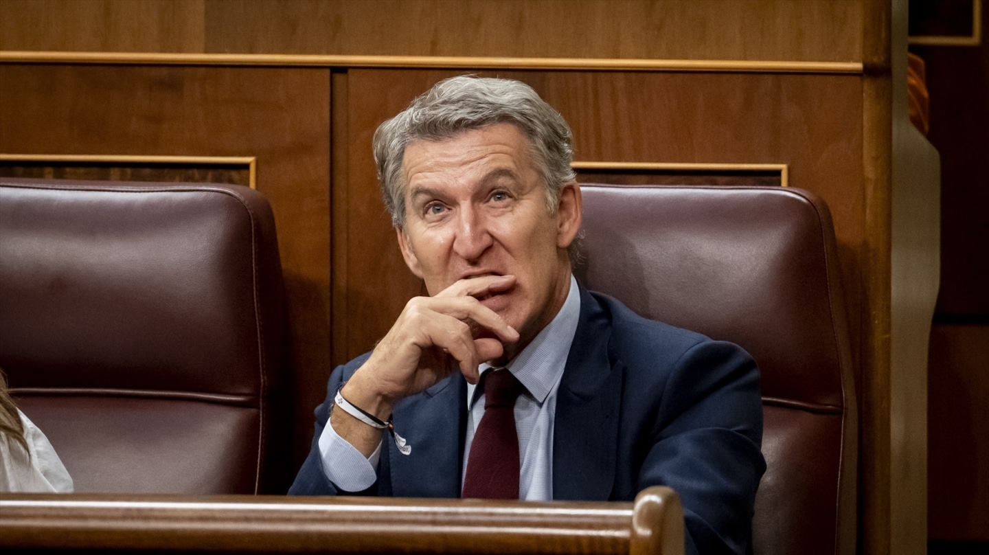 El presidente nacional del PP, Alberto Núñez Feijóo