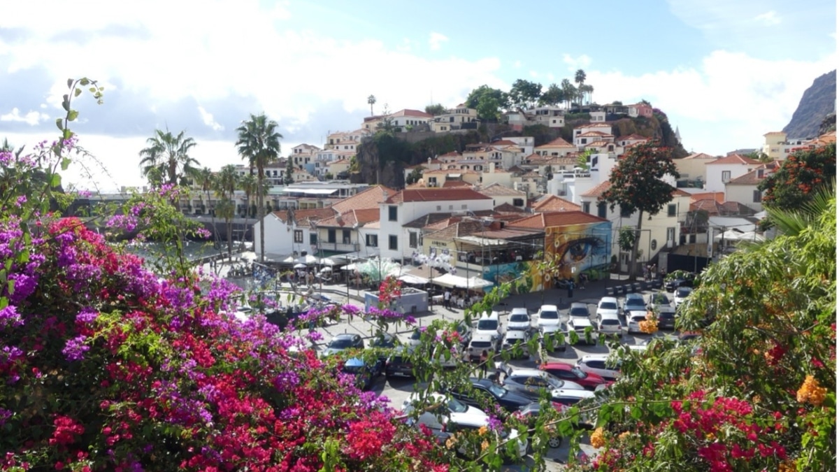 Madeira, la exuberante isla de nobles vinos y rones agrícolas