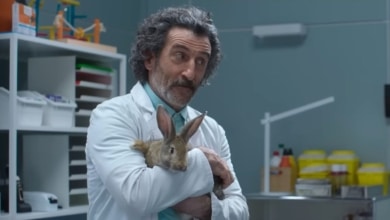 Luis Zahera, imparable en Netflix: fecha confirmada para la temporada 2 de 'Animal' tras el estreno de 'Colisión'