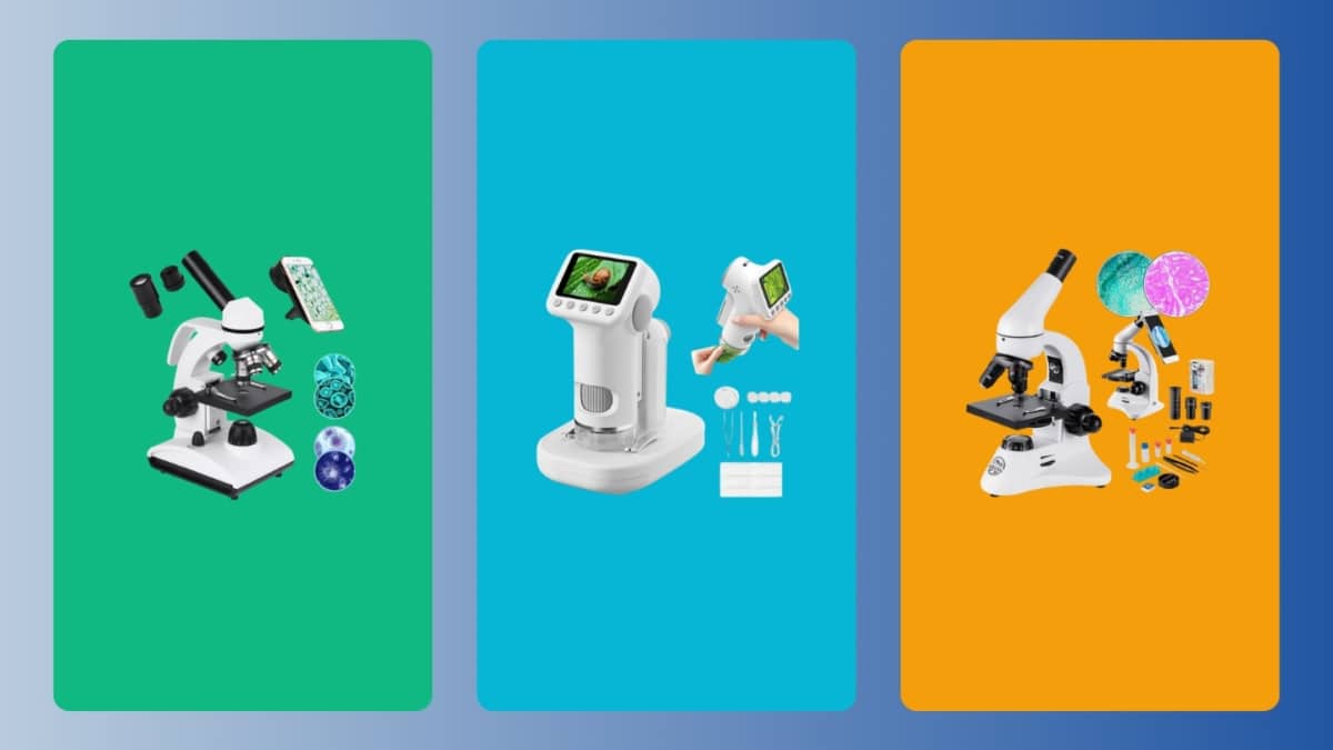 Los 10 mejores microscopios para principiantes: ópticos y digitales - 2026