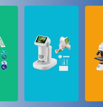 Los 10 mejores microscopios para principiantes: ópticos y digitales - 2026