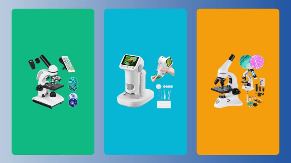 Los 10 mejores microscopios para principiantes: ópticos y digitales - 2026