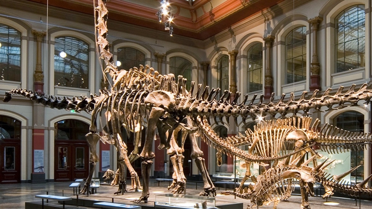 HOCHTIEF construirá la nueva sede científica del Museo de Historia Natural de Berlín por 70 millones de euros