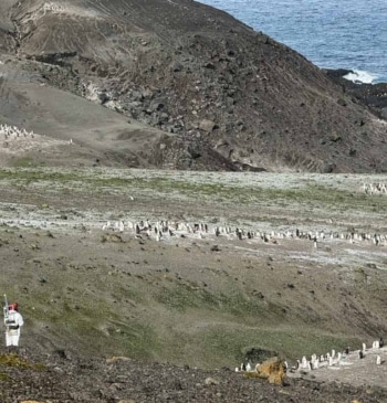 Como tres millones de coches o cinco millones de vacas: el efecto [...]