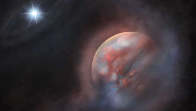 El 'planeta Fénix' desafía a la astrofísica: así renace un mundo de las cenizas de su estrella muerta