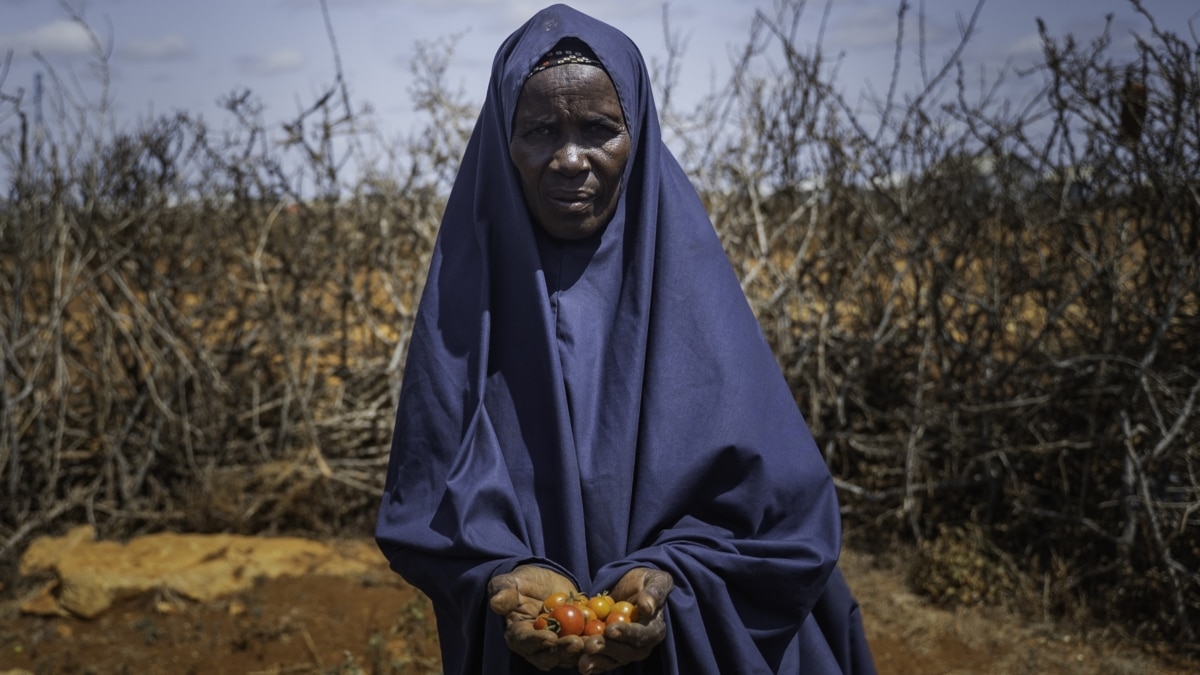 Mujer somalí en el campo de Barwaaqo (Baidoa).